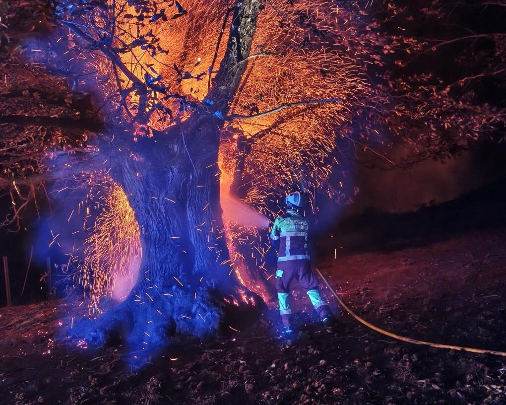 Bombero forestal en Cantabria controlando un incendio en un Árbol