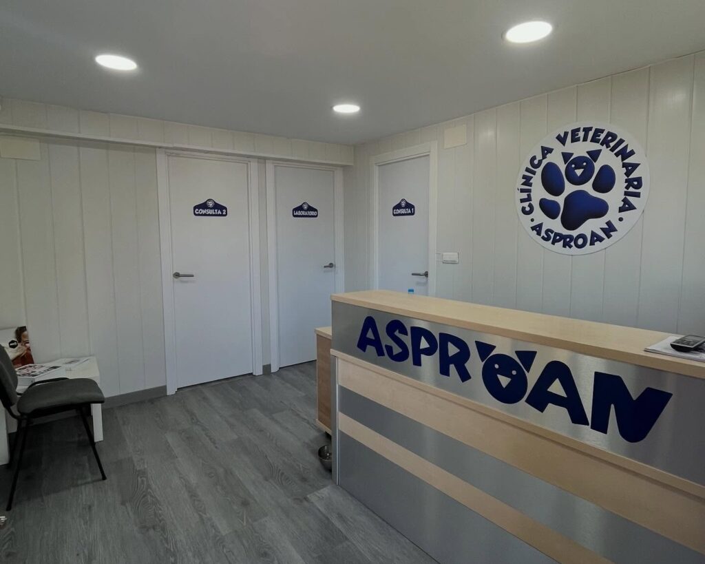 El Refugio de Animales Asproan de San Román denuncia que han hackeado su Perfil de Google Business