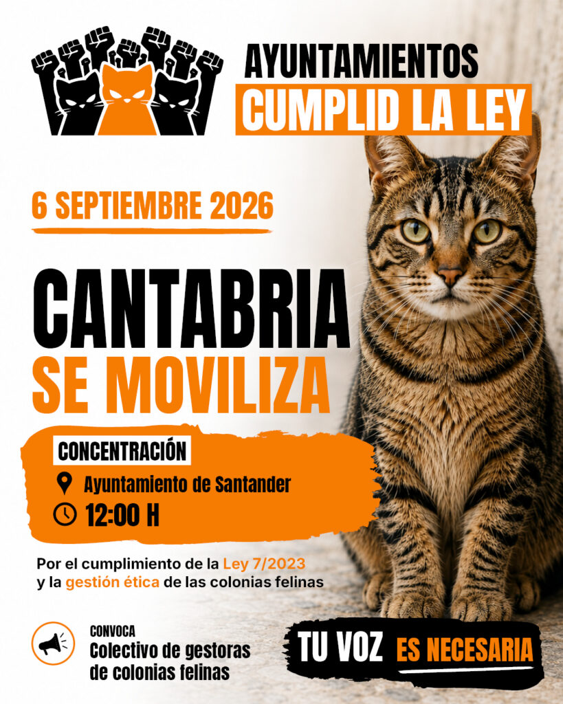 Concentración este Domingo a las 12 en el Ayuntamiento de Santander para que se aplique la Ley de Bienestar animal